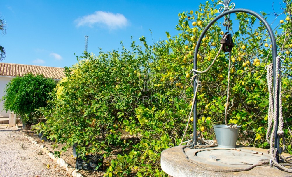 Wederverkoop ·  · Guardamar del Segura · Urbanización El Raso