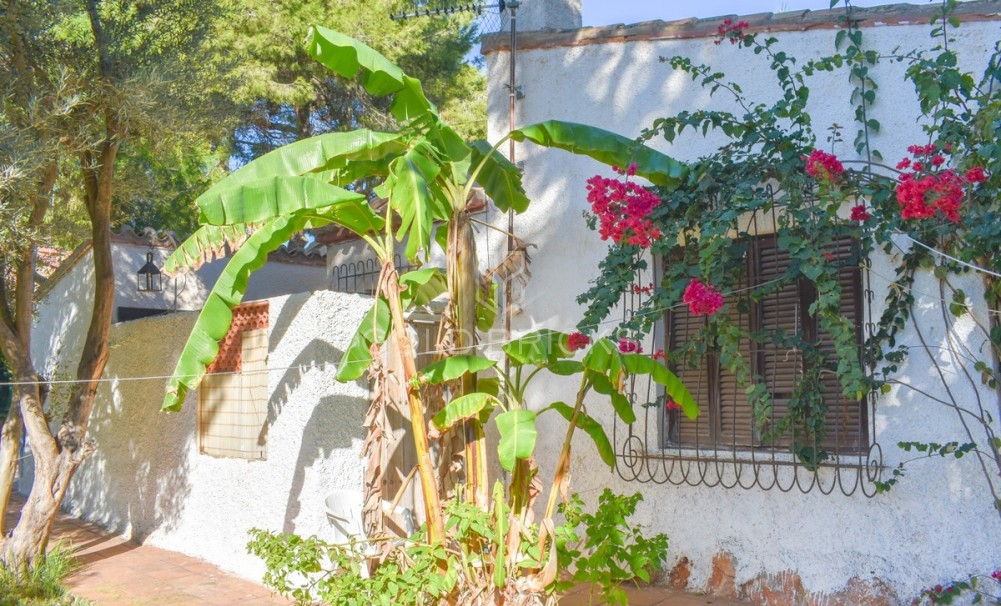 Wederverkoop ·  · Orihuela · Punta Prima