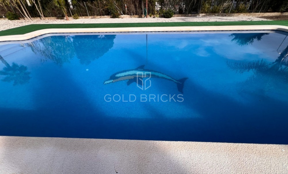 Wederverkoop ·  · Dolores · Dolores Centro