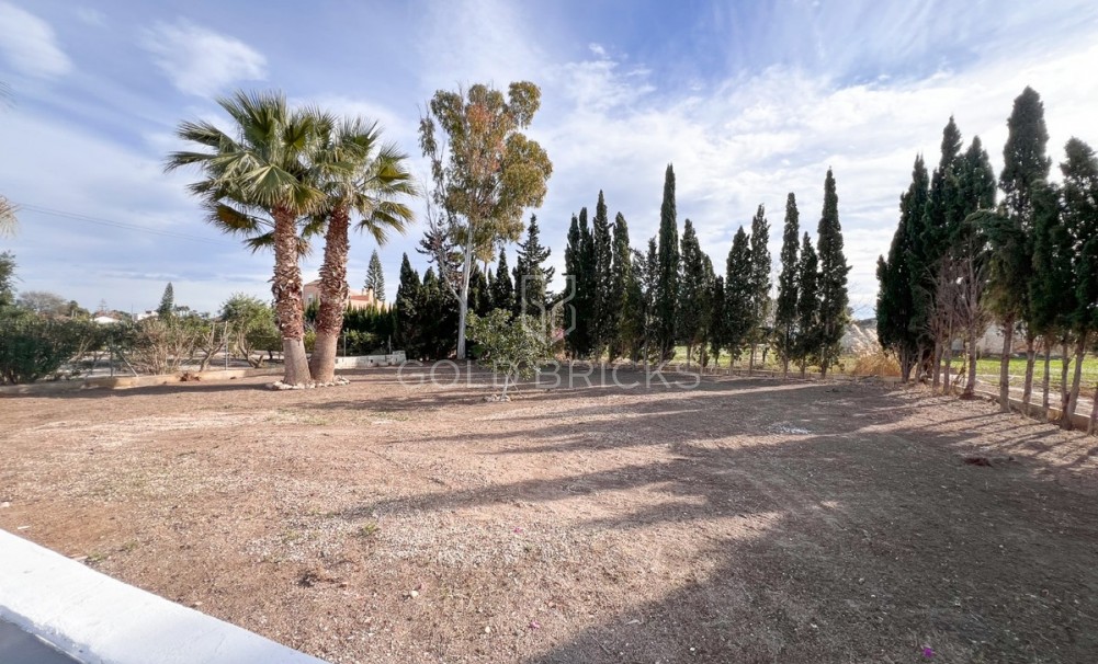 Wederverkoop ·  · Dolores · Dolores Centro