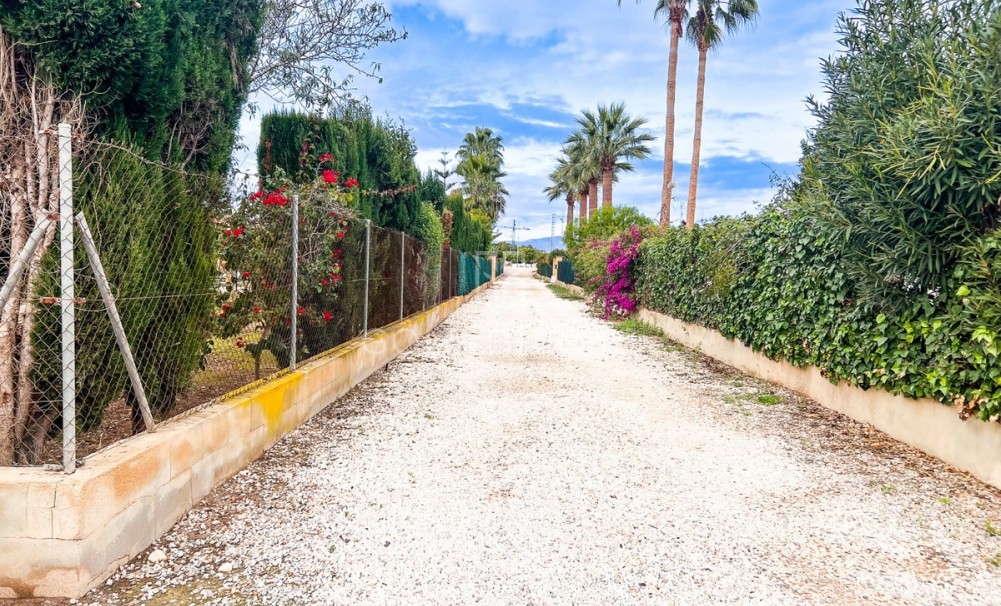 Wederverkoop ·  · Dolores · Dolores Centro