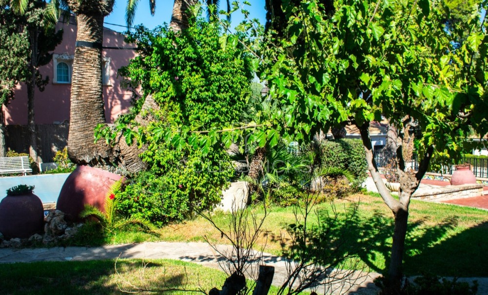 Wederverkoop ·  · Alicante · Alicante Centro