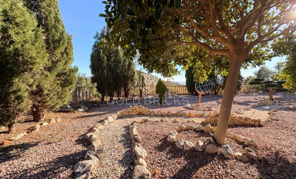 Wederverkoop ·  · Crevillente - Crevillent · Crevillente - Crevillent Centro