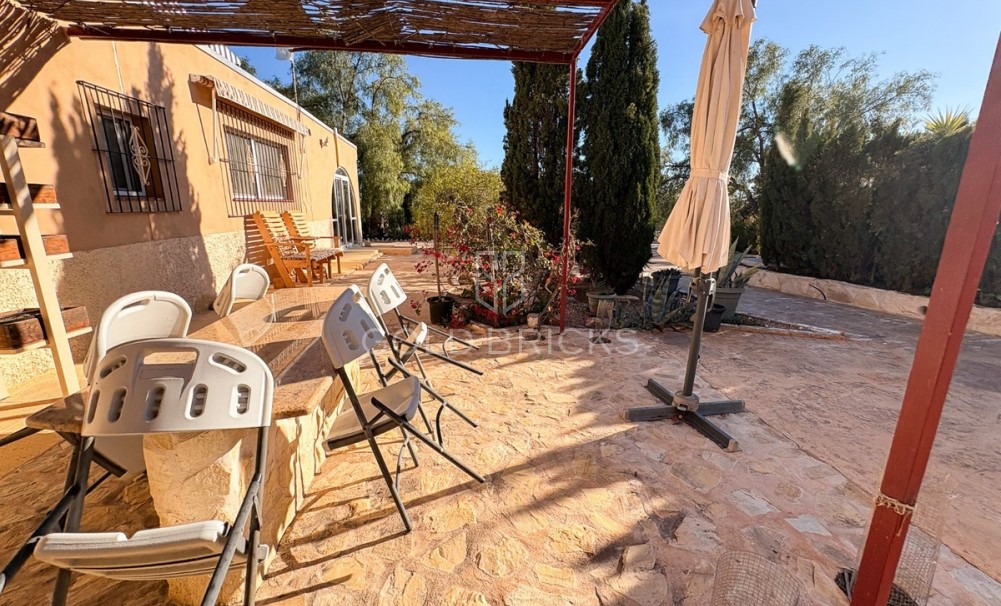 Wederverkoop ·  · Crevillente - Crevillent · Crevillente - Crevillent Centro