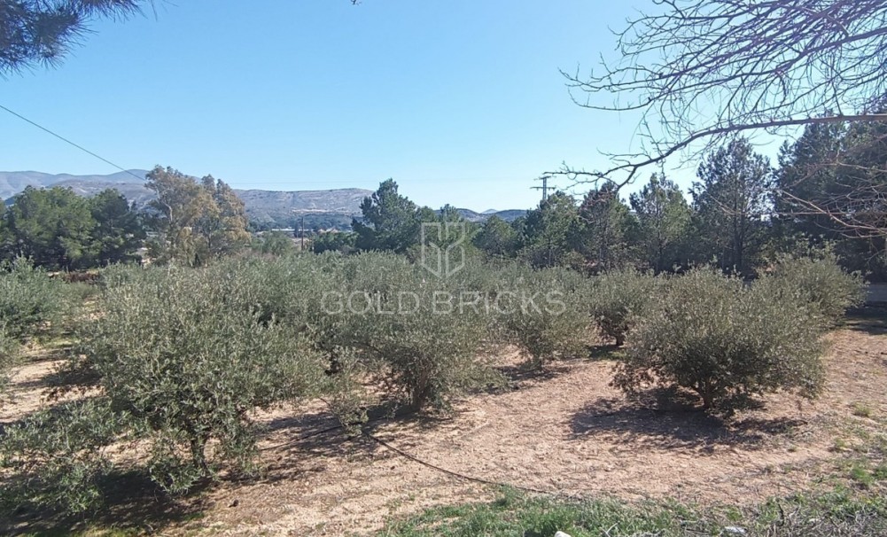 Wederverkoop ·  · Elda · Elda Centro