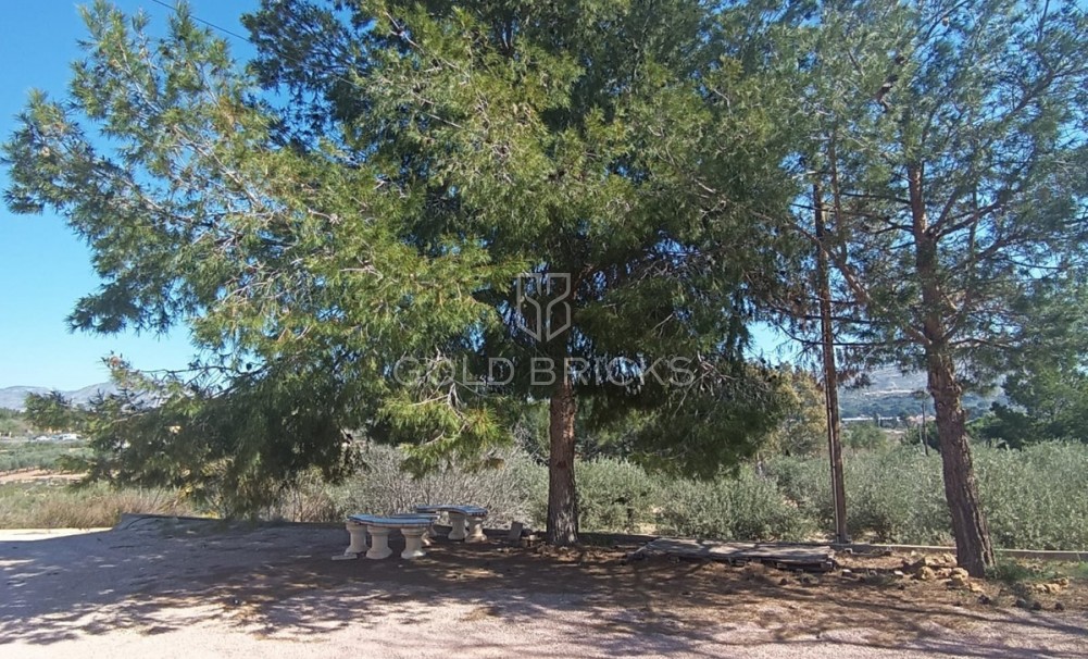 Wederverkoop ·  · Elda · Elda Centro