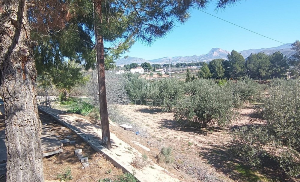 Wederverkoop ·  · Elda · Elda Centro