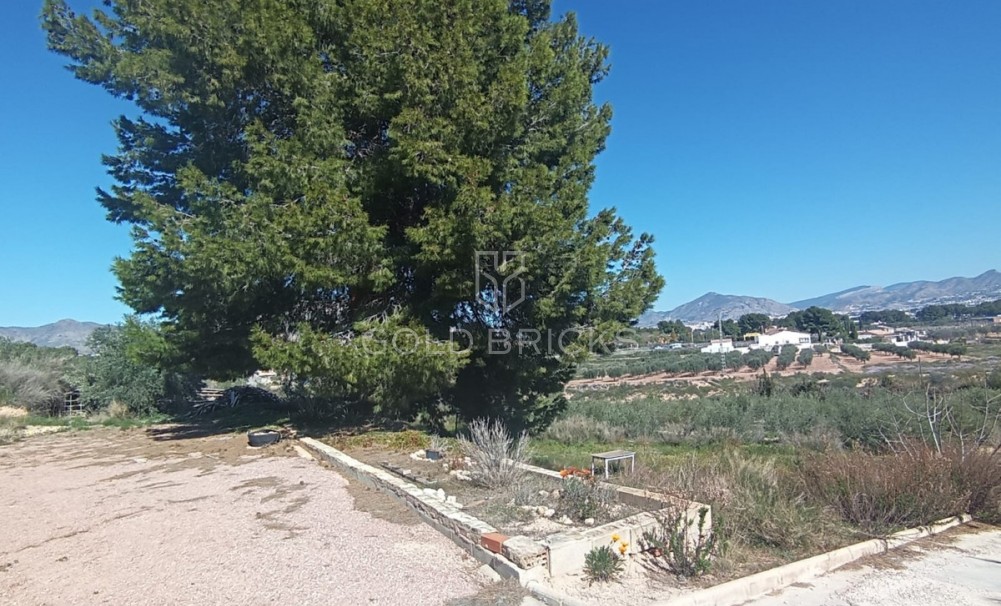 Wederverkoop ·  · Elda · Elda Centro