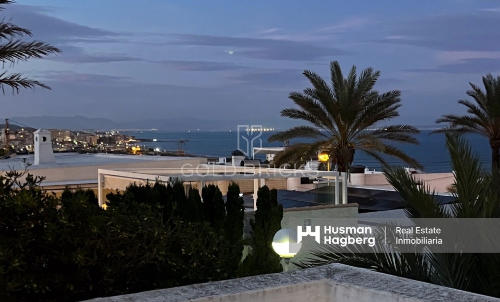 Återförsäljning ·  · Torrevieja · La Mata