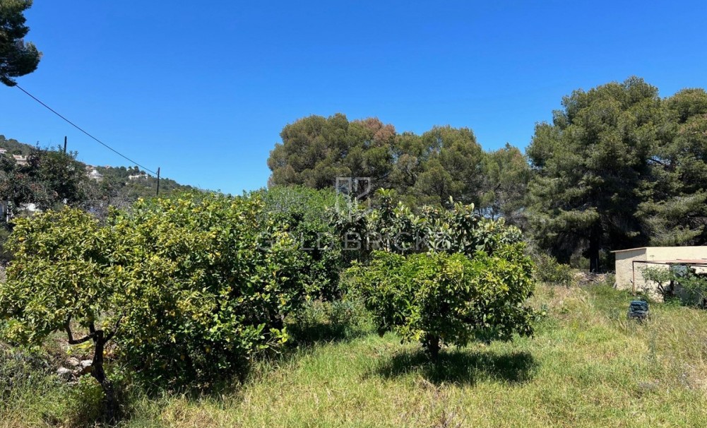 Wederverkoop ·  · Novelda · Estación