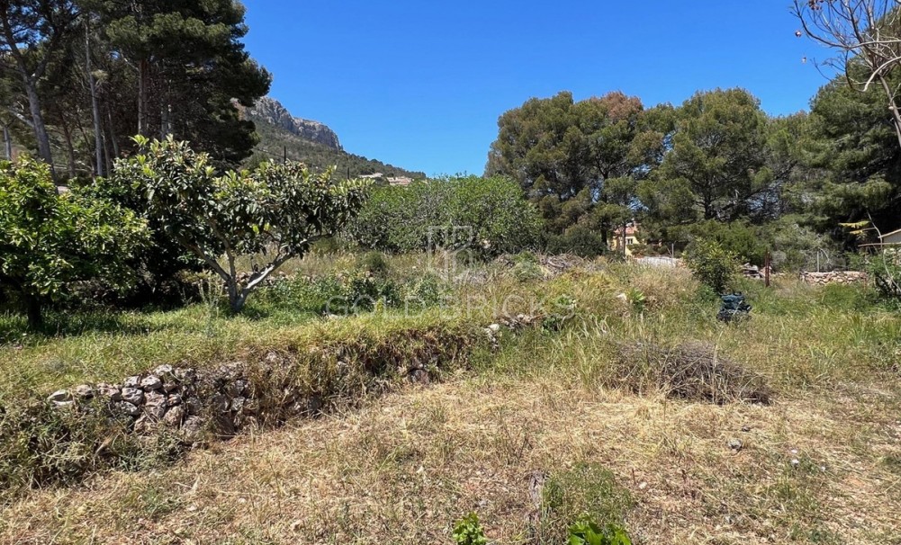 Wederverkoop ·  · Novelda · Estación