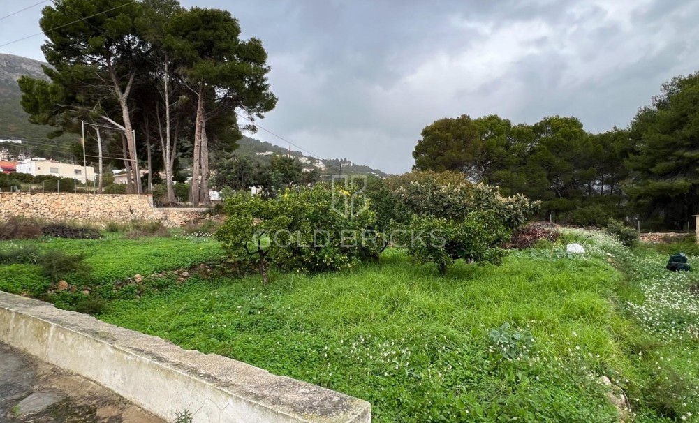 Wederverkoop ·  · Novelda · Estación