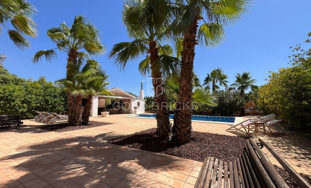 Wederverkoop ·  · Elche · Torrellano