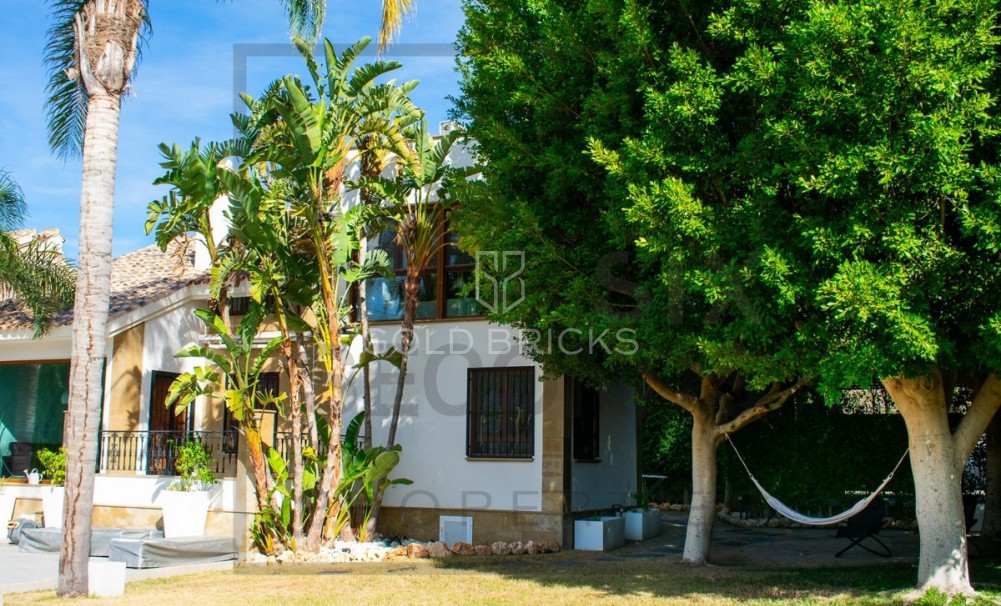 Wederverkoop ·  · Algorfa · Algorfa Centro