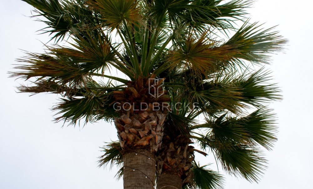 Wederverkoop ·  · San Javier · La Manga Del Mar Menor