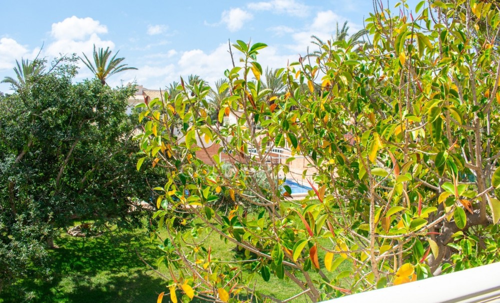 Wederverkoop ·  · Orihuela · Orihuela Costa