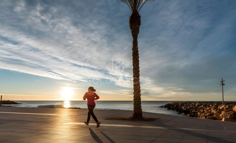 New Build ·  · Torrevieja · Torrevieja Centro
