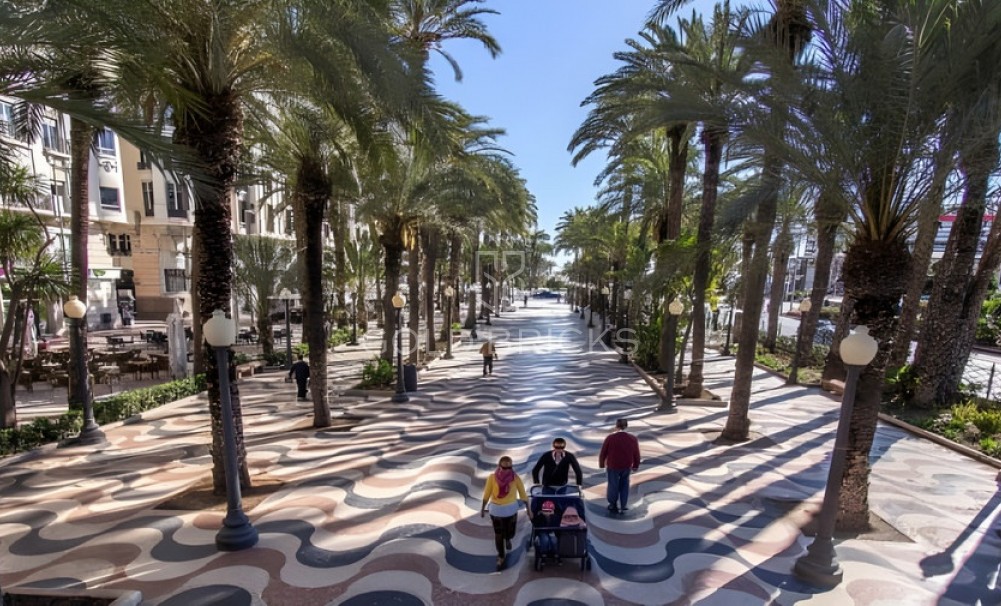 New Build ·  · Torrevieja · Torrevieja Centro