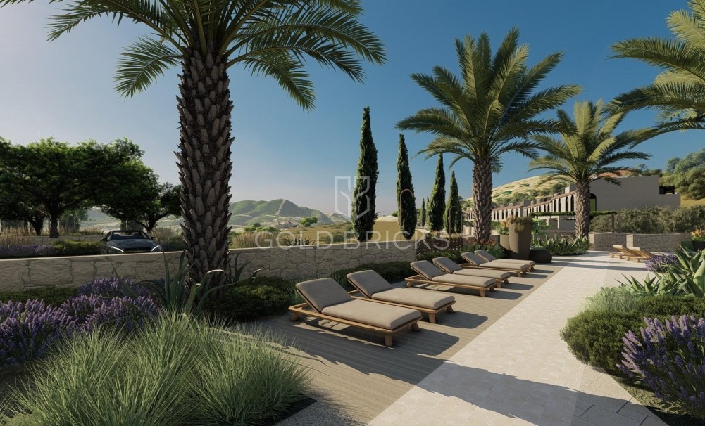 New Build · Stadthaus · Monda · Guaro