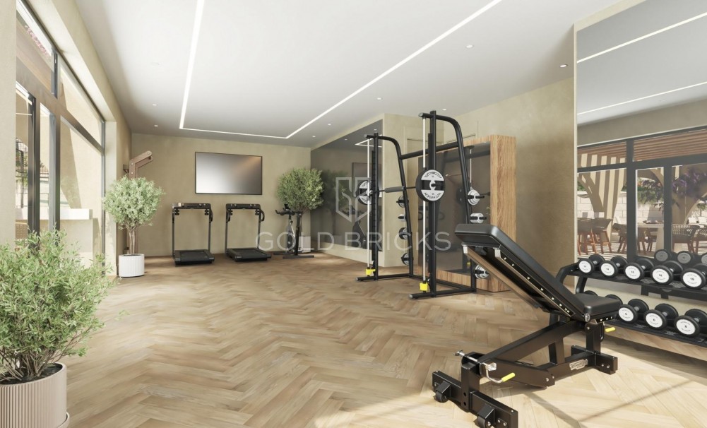 New Build · Stadthaus · Monda · Guaro