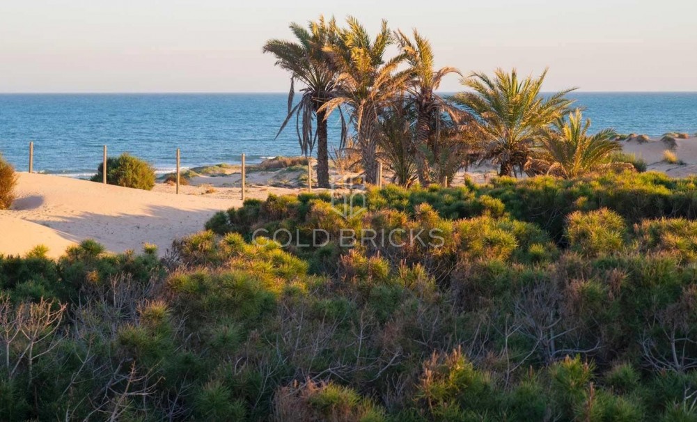 New Build · Penthouse · Guardamar del Segura · Avda del Puerto