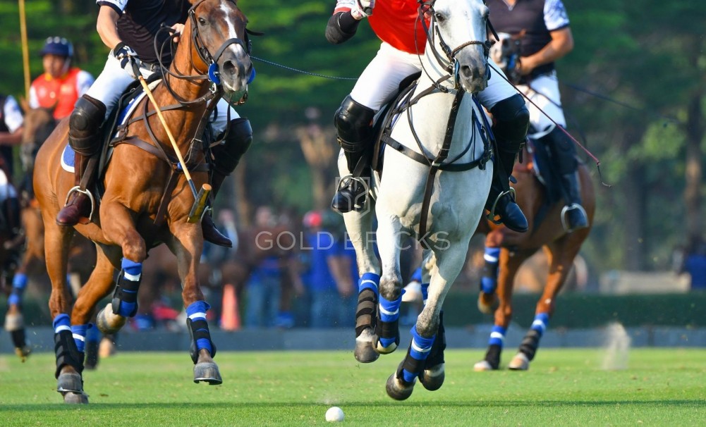 New Build · Penthouse · Manilva · Bahia De Las Rocas