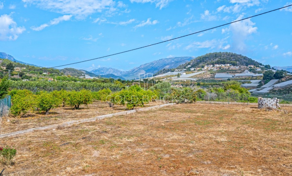 Revente · Domaine de campagne · La Nucía