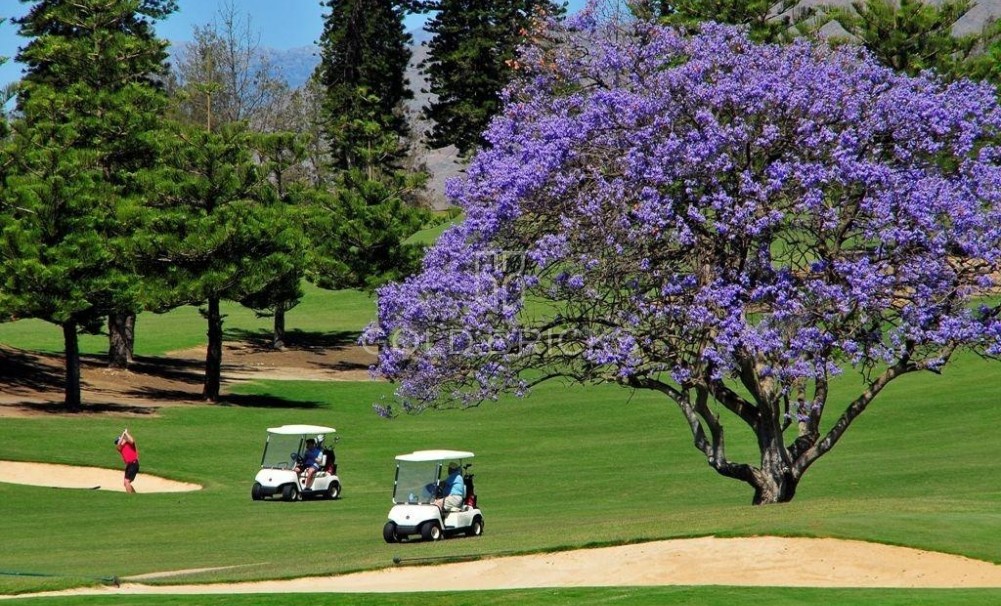 New Build · Penthouse · Mijas · La Noria Golf
