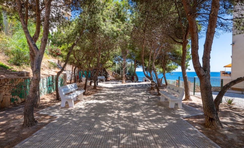 Sale · Apartment · Cabo Roig
