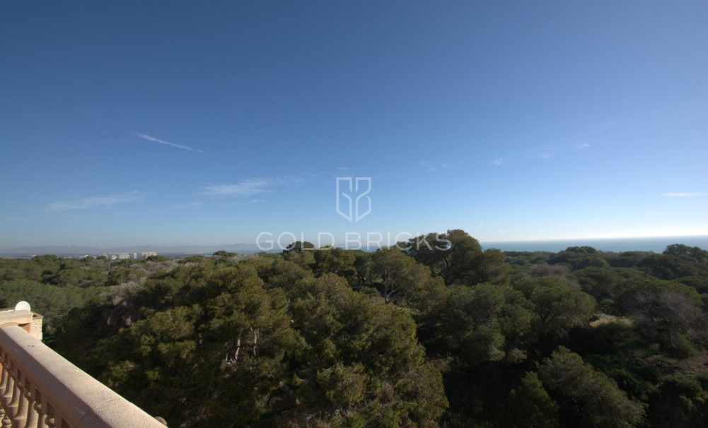 New Build · Penthouse · Guardamar del Segura · Pueblo