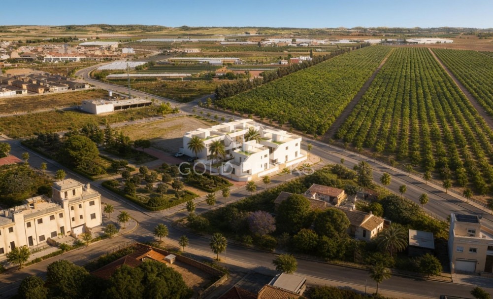 New Build · Bungalow · Pilar de la Horadada · pueblo