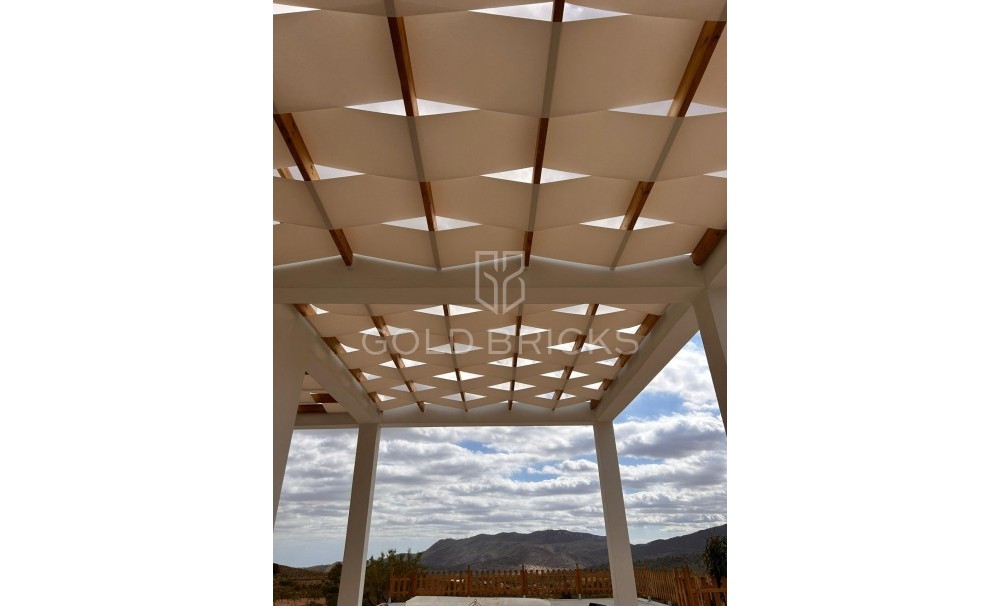 New Build · Villa · Pinoso · Casas Pastor