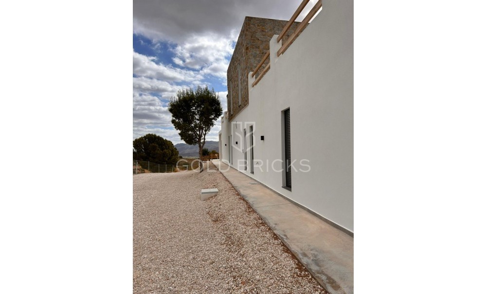 New Build · Villa · Pinoso · Casas Pastor