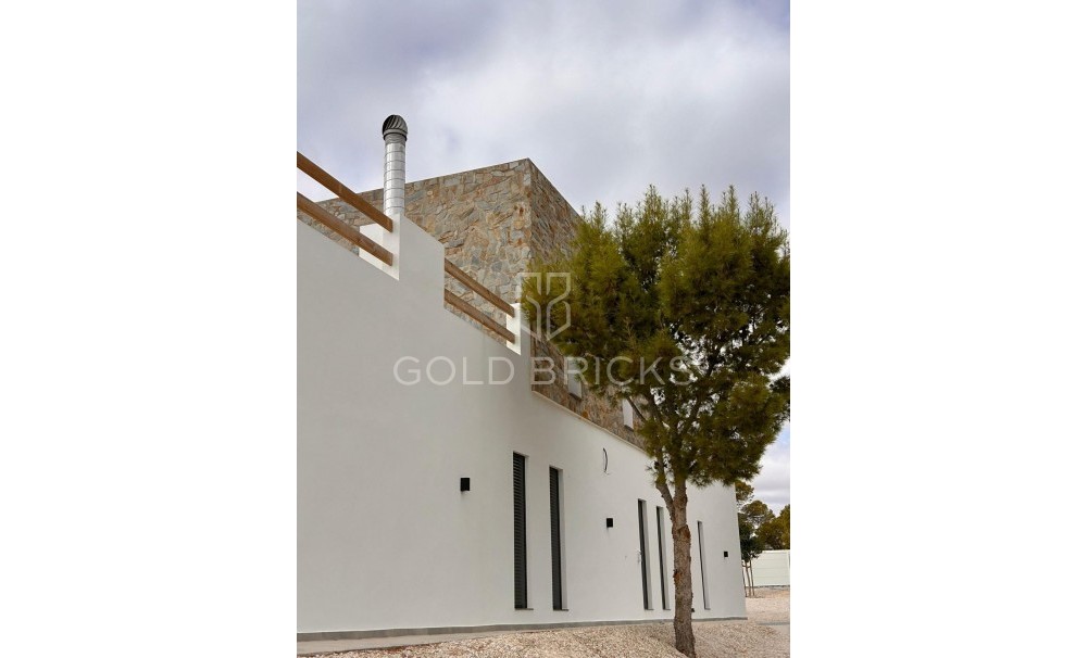 New Build · Villa · Pinoso · Casas Pastor