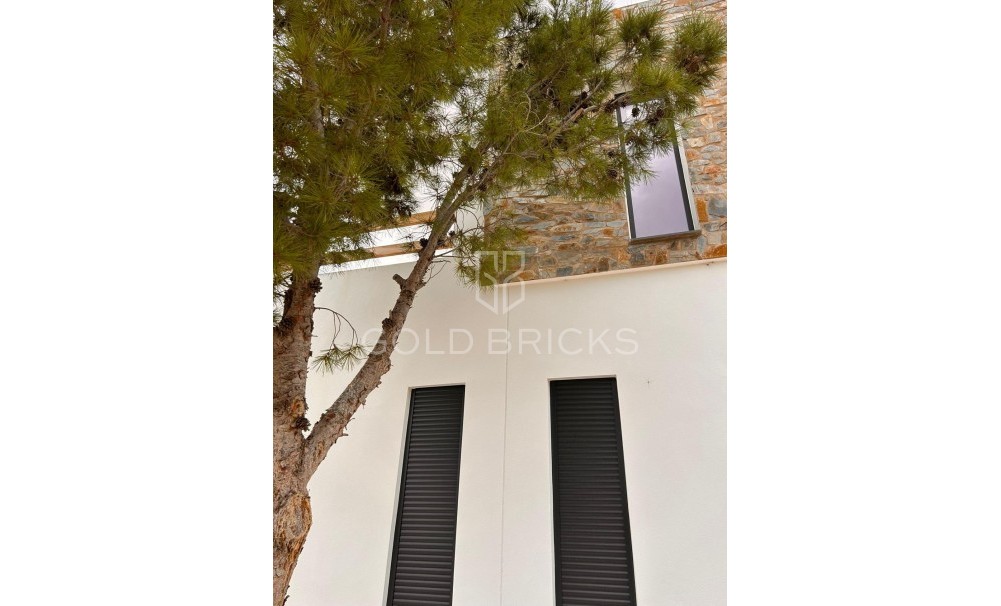 New Build · Villa · Pinoso · Casas Pastor