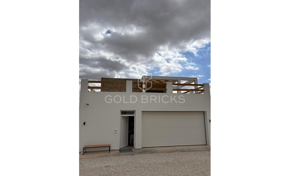 New Build · Villa · Pinoso · Casas Pastor