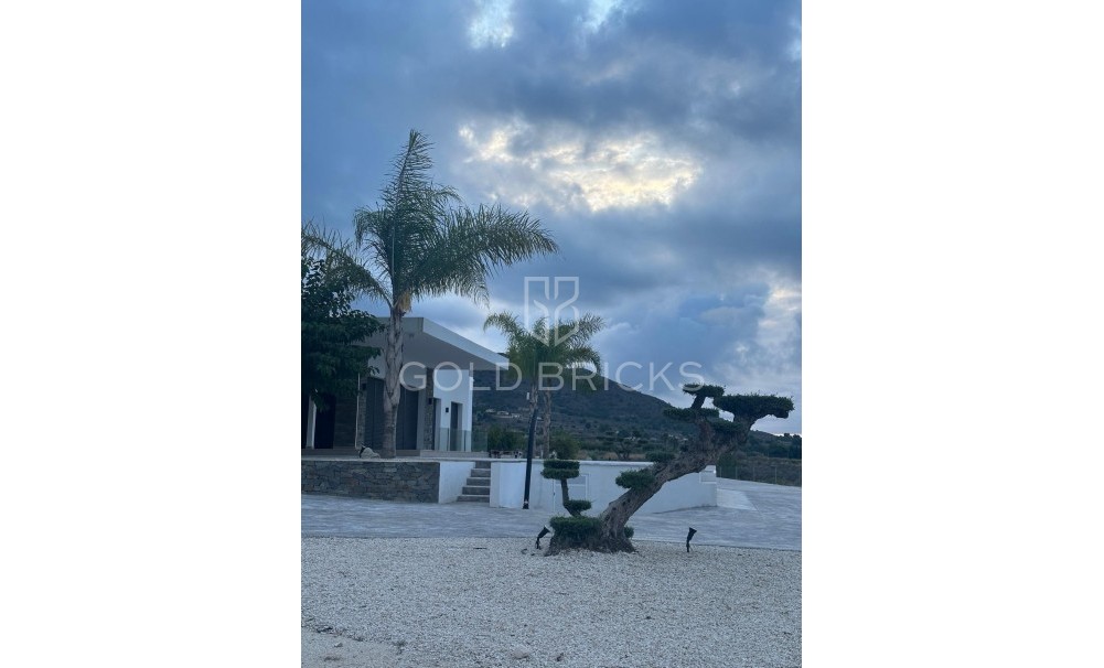 Nouvelle construction · Villa · Pinoso · Casas Pastor