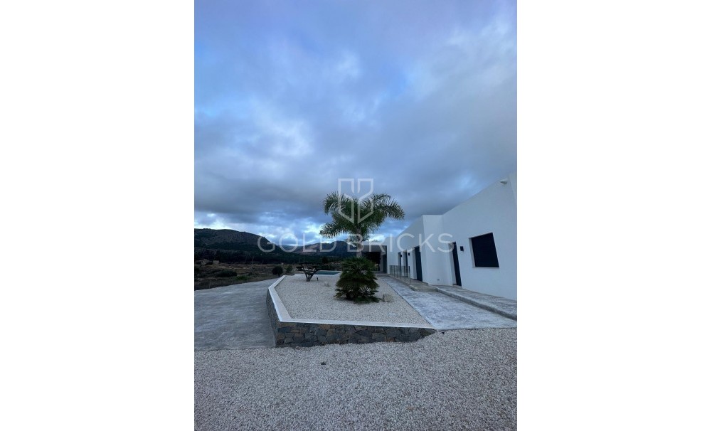 Nouvelle construction · Villa · Pinoso · Casas Pastor