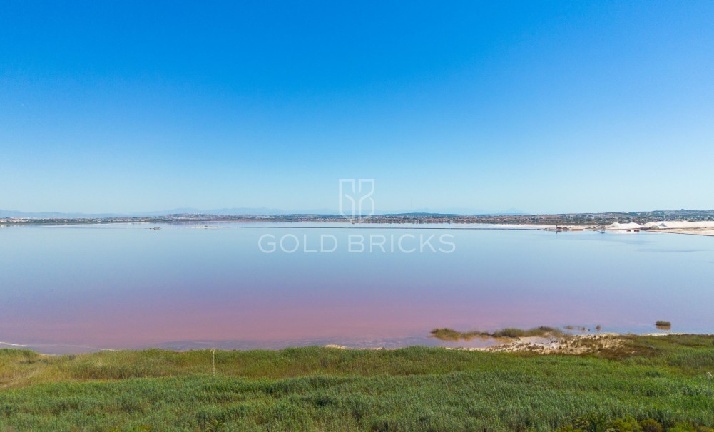 New Build · Detached Villa · Orihuela · Los Balcones