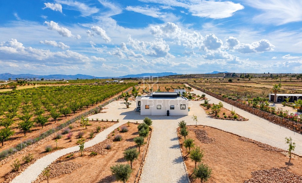 Sale · Detached Villa · Pinoso · Pinoso Centro
