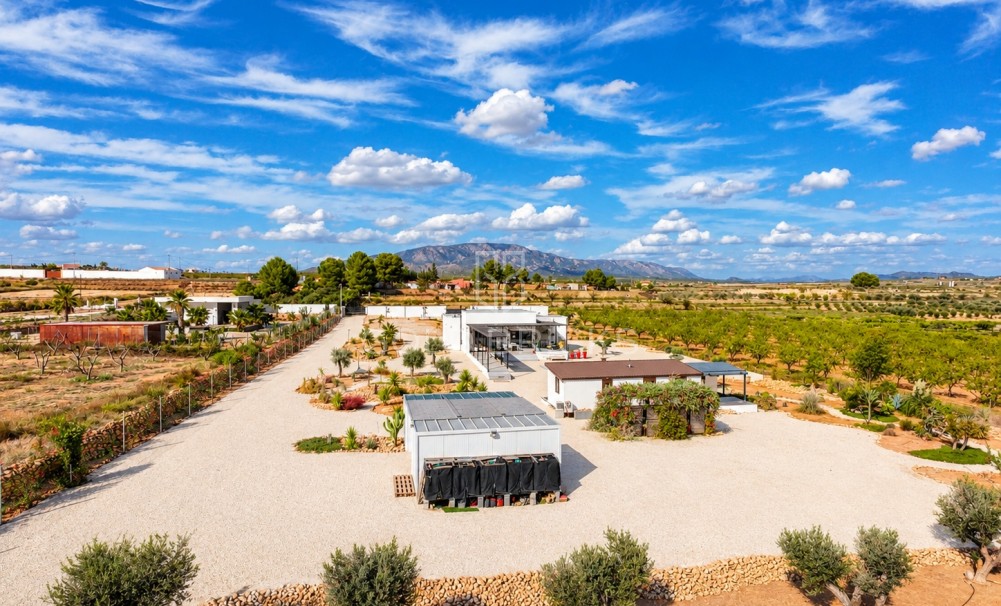 Sale · Detached Villa · Pinoso · Pinoso Centro