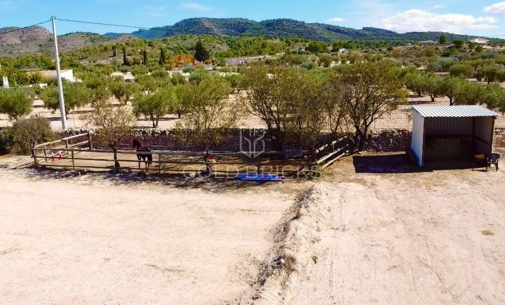 Sale · Finca / Country Property · Sax · Sax Centro