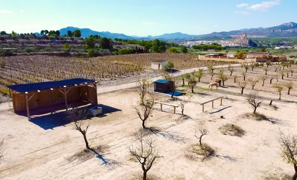 Sale · Finca / Country Property · Sax · Sax Centro
