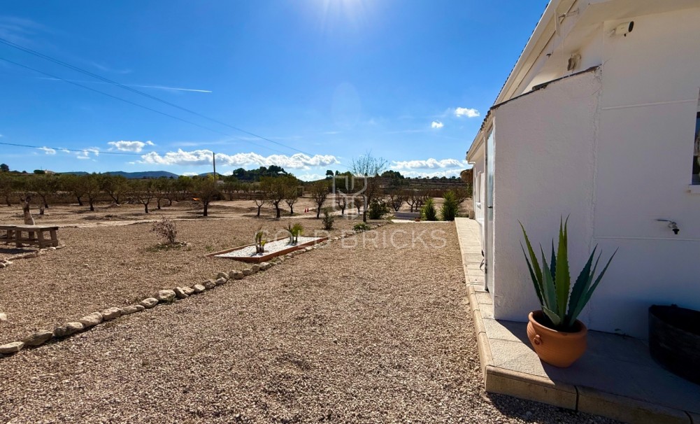Sale · Finca / Country Property · Sax · Sax Centro
