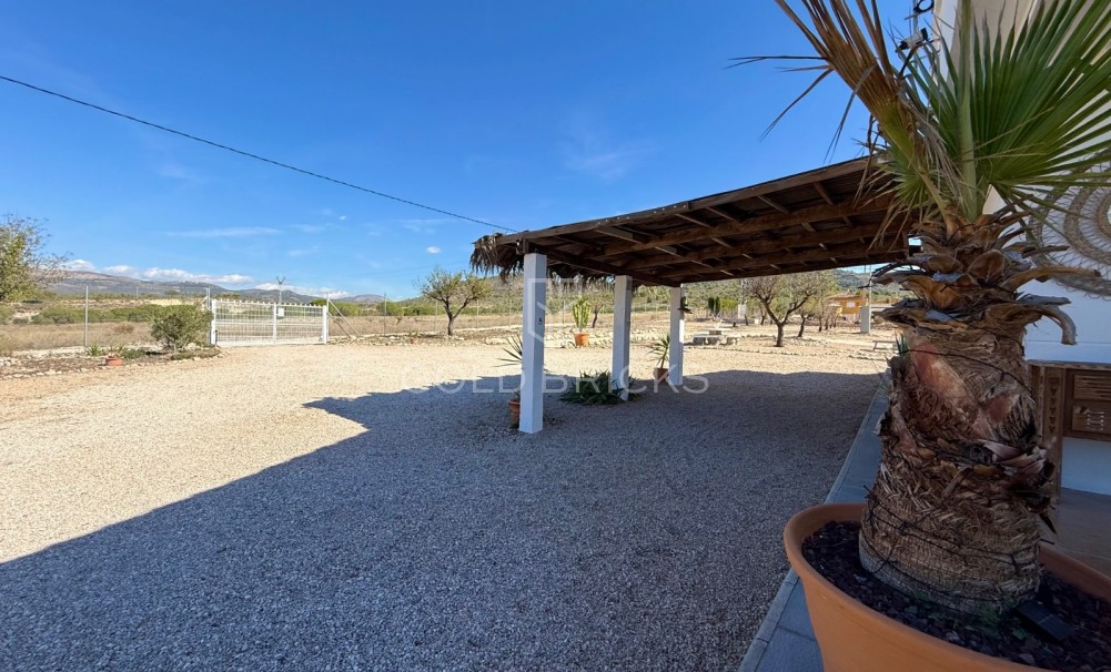 Sale · Finca / Country Property · Sax · Sax Centro