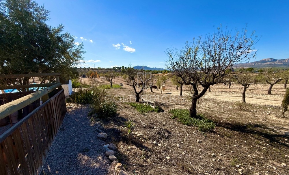 Sale · Finca / Country Property · Sax · Sax Centro