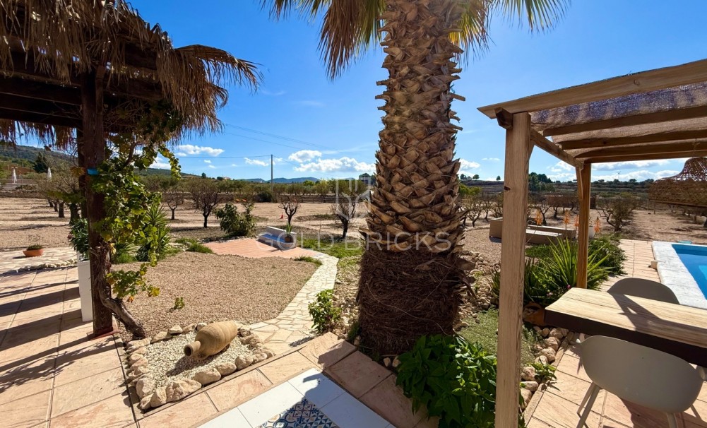 Sale · Finca / Country Property · Sax · Sax Centro