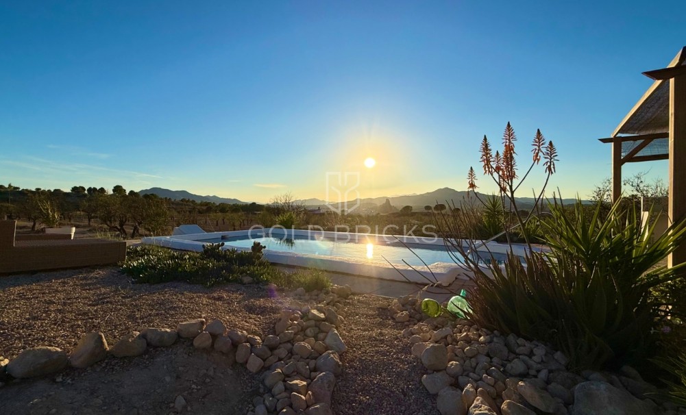 Sale · Finca / Country Property · Sax · Sax Centro
