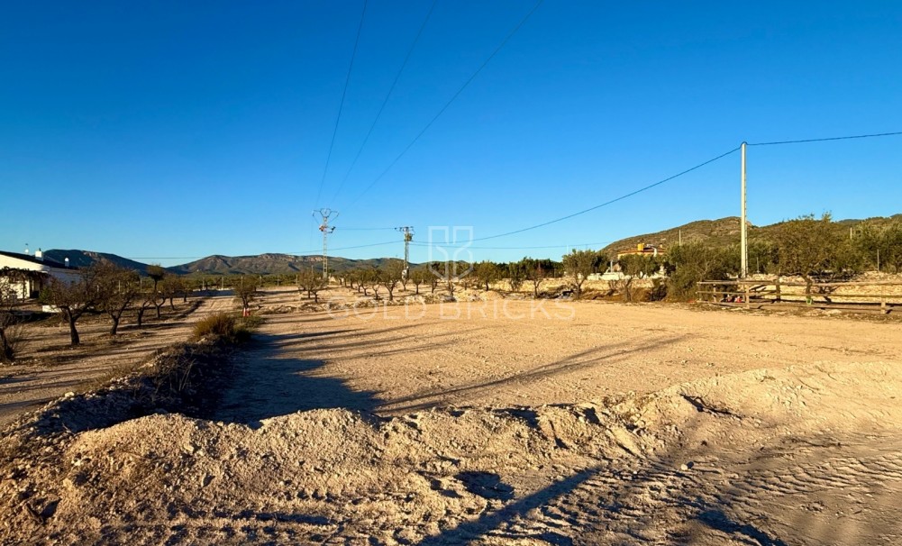 Sale · Finca / Country Property · Sax · Sax Centro