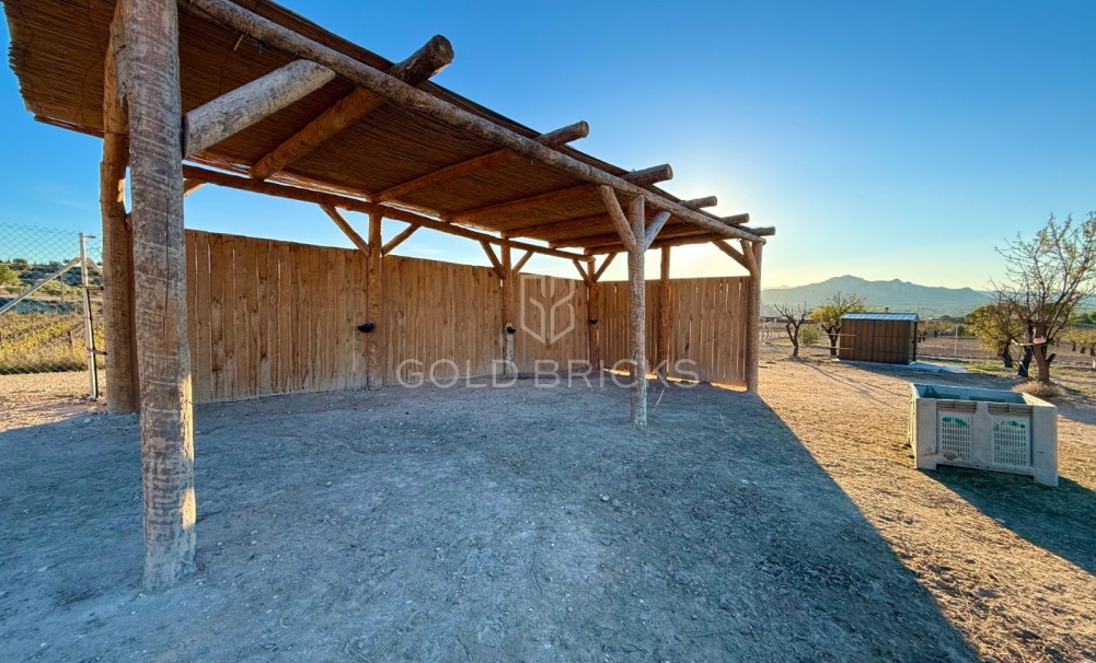 Sale · Finca / Country Property · Sax · Sax Centro